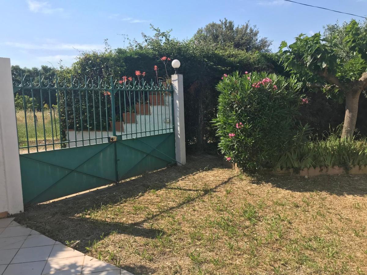Mas De La Vieille Vigne Villa Argelès-sur-Mer Dış mekan fotoğraf