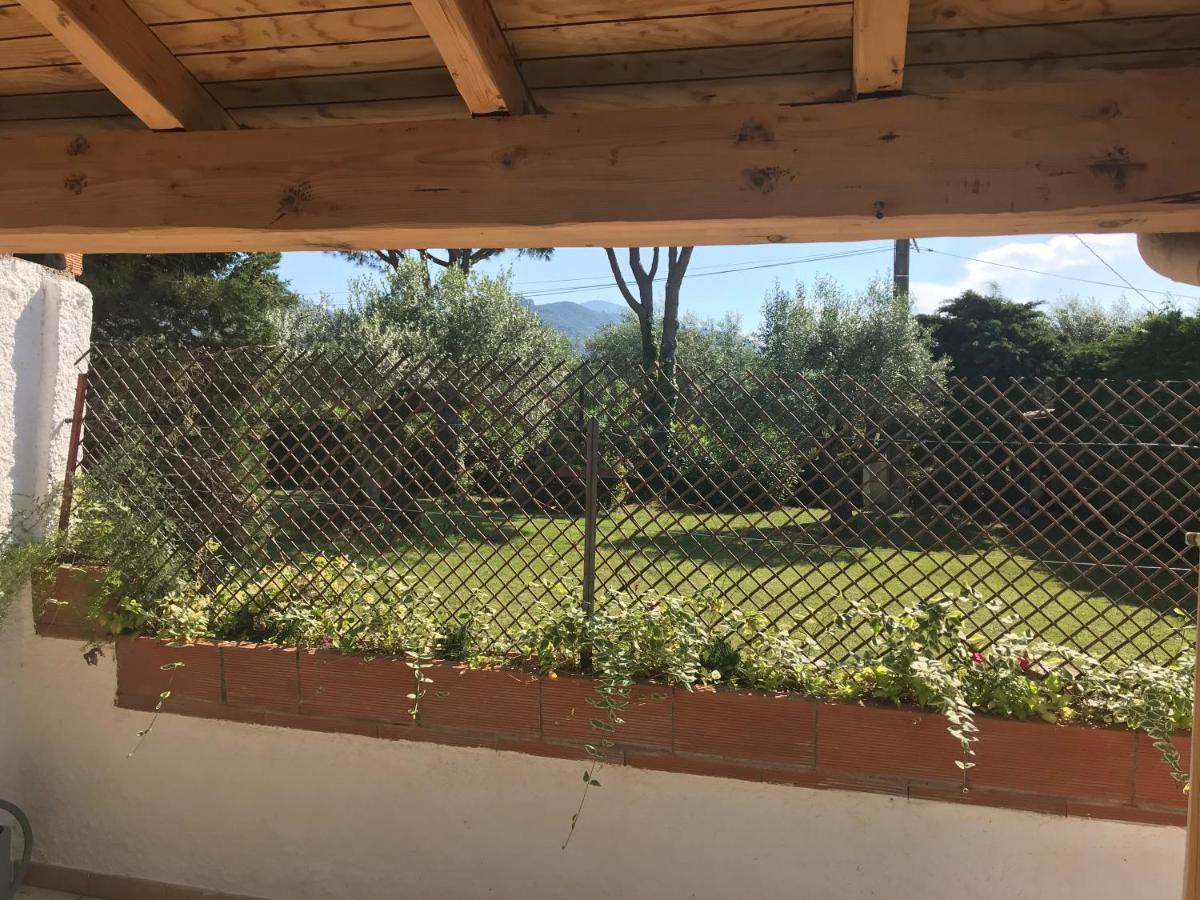 Mas De La Vieille Vigne Villa Argelès-sur-Mer Dış mekan fotoğraf